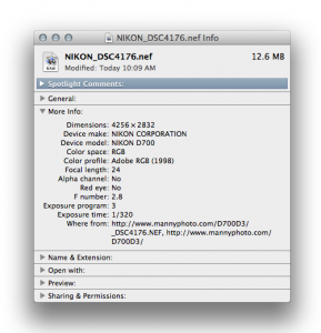 Nikon NEF file organization